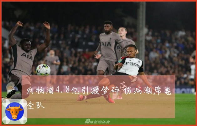 利物浦4.8亿引援梦碎 伤病潮席卷全队